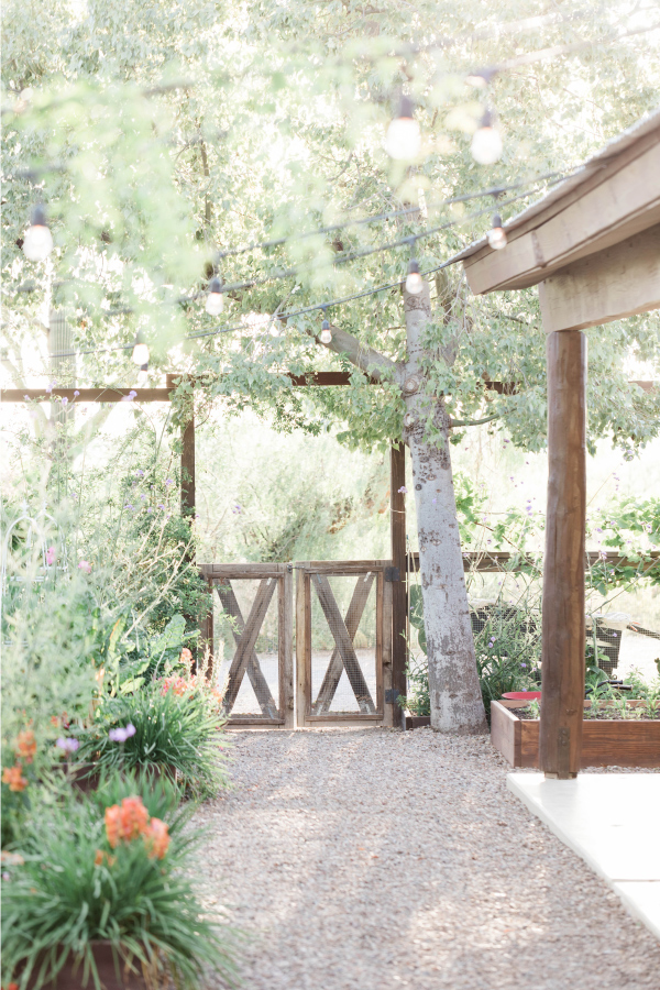 Startseite Zaungespräche Vorstellung und Einladung zur Zusammenarbeit Startseite Zaungespräche Vorstellung und Einladung zur Zusammenarbeit